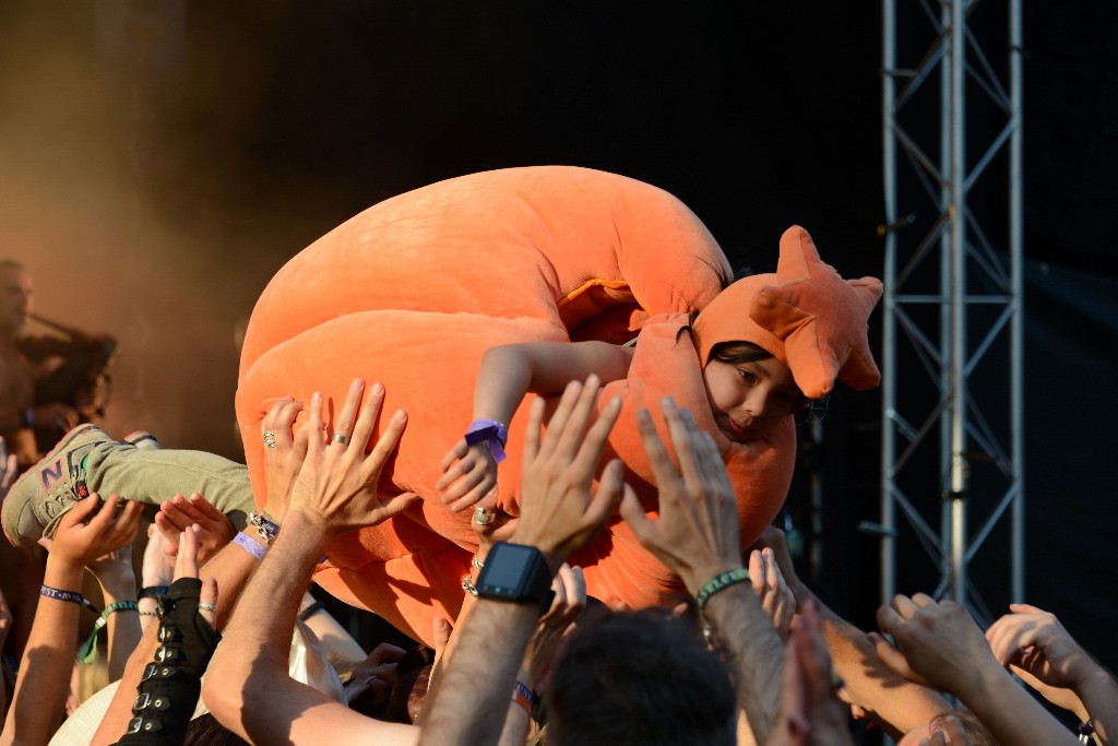 ../Images/Zondag Castlefest 2015 266.jpg